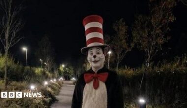 A person dressed Cat in the Hat character