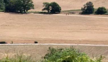 England, Wales had driest July on record: Met Office