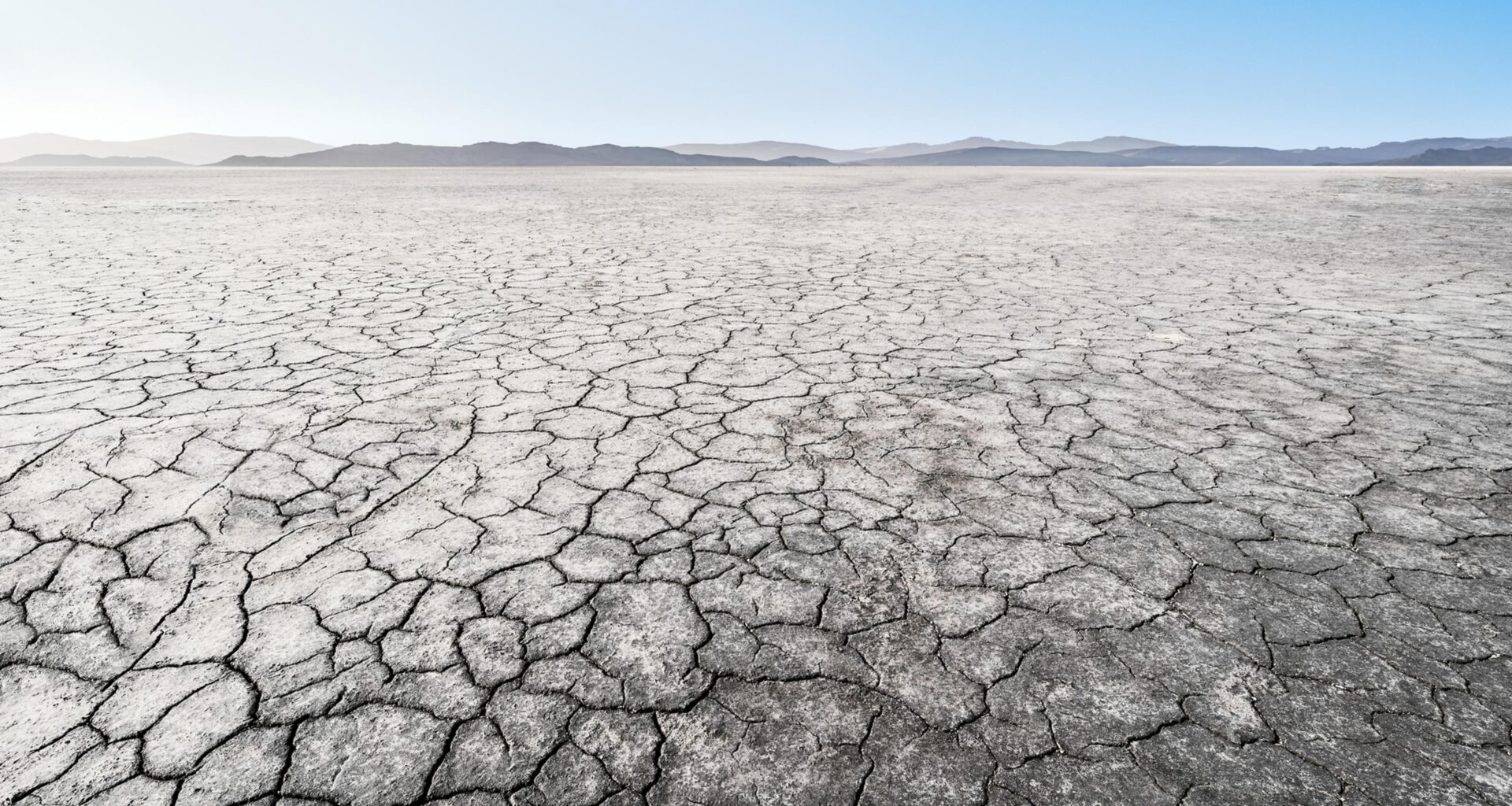 Our Approach to Drought and Wildfire Is Economically Backwards