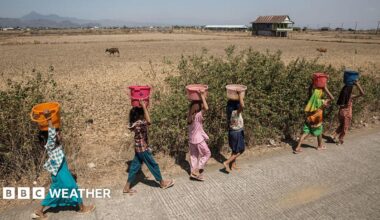 Six women walk along a road carrying buckets of water on their heads, with dry-looking ground, animals and a building in the background.