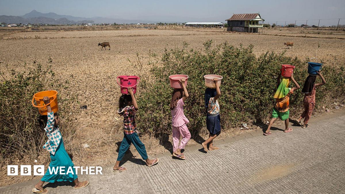Six women walk along a road carrying buckets of water on their heads, with dry-looking ground, animals and a building in the background.