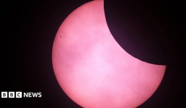 The top right corner of the sun has been obscured by the moon which appears black. The sun appears pink in the picture from St Martins in 2025.
