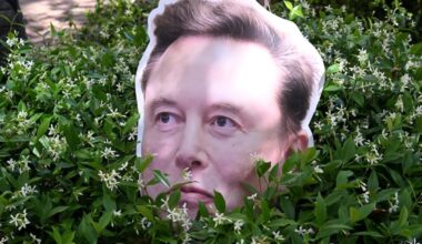 No One Knows What the Hell Elon Musk's AI Graph Means
