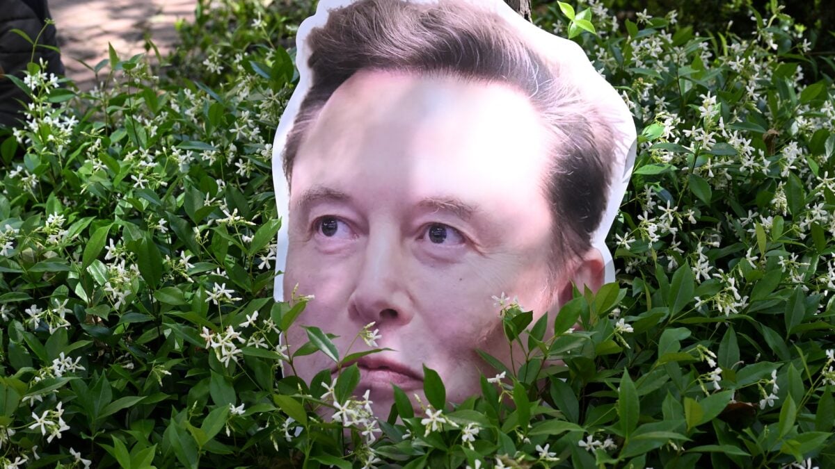 No One Knows What the Hell Elon Musk's AI Graph Means