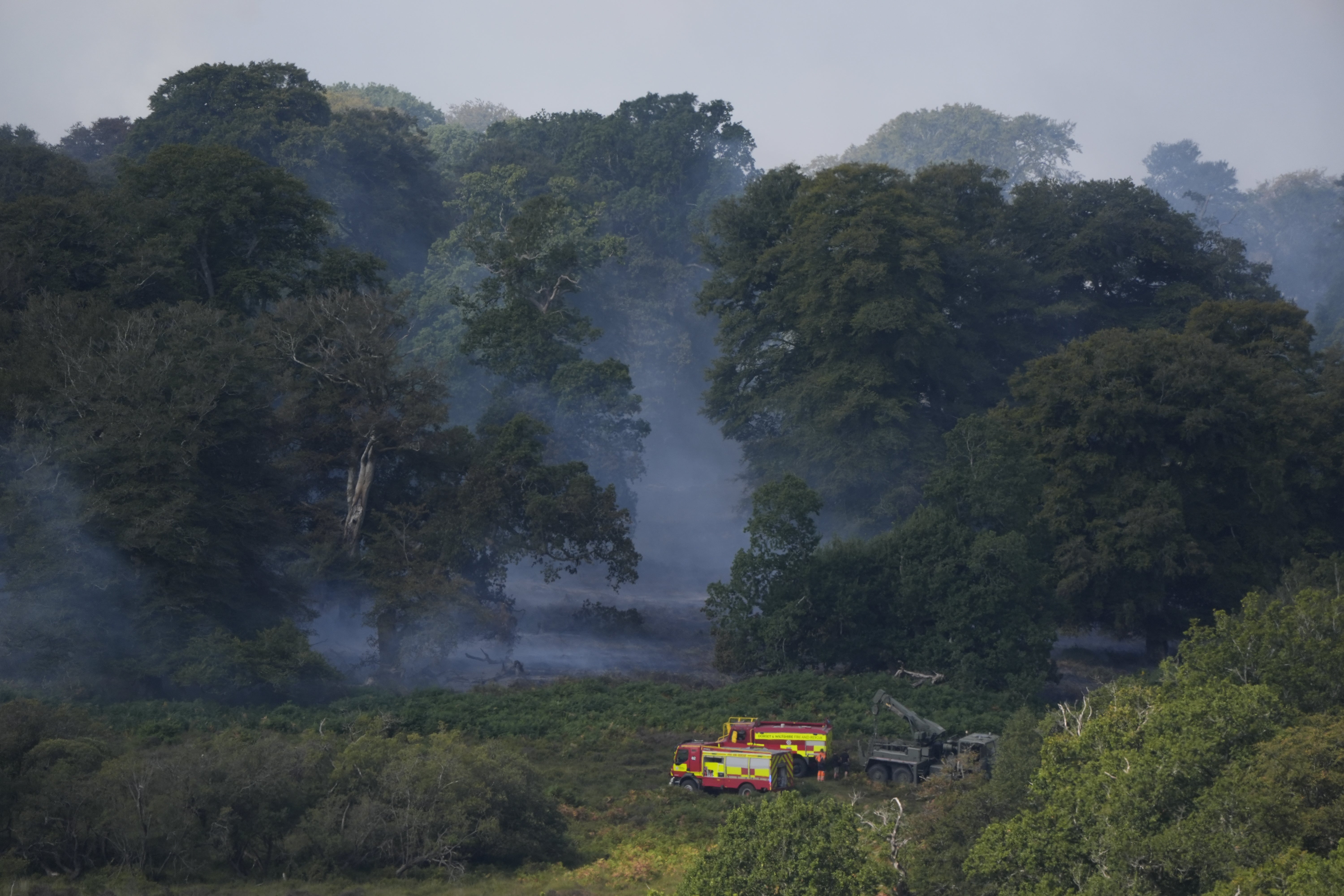 Smoke rises from a heathland blaze in the New Forest near Ringwood in Hampshire
