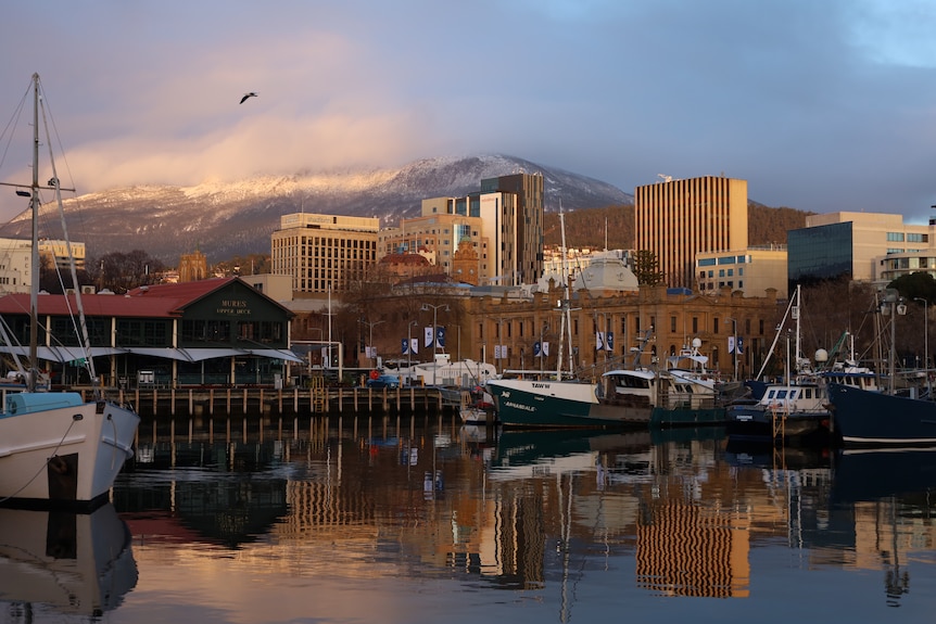 Hobart city buildings with the docks in the foreground and a snow-covered Kunanyi/Mount Wellington in the background