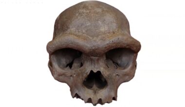 Were Denisovans tall compared to other ancient humans? We should be sceptical