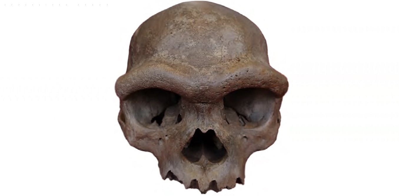 Were Denisovans tall compared to other ancient humans? We should be sceptical
