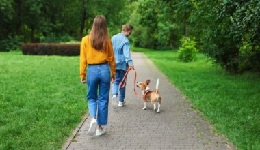 The physical activity paradox: not all forms of exercise lower your dementia risk – this type raises it