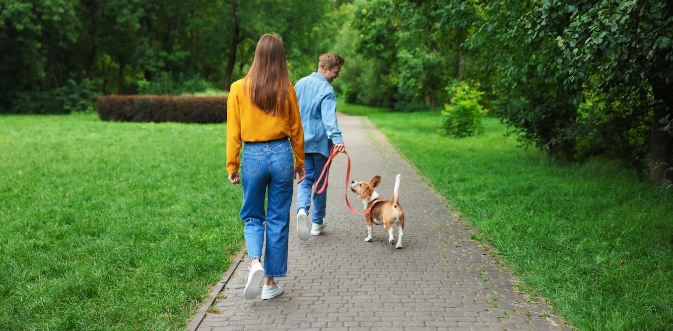 The physical activity paradox: not all forms of exercise lower your dementia risk – this type raises it