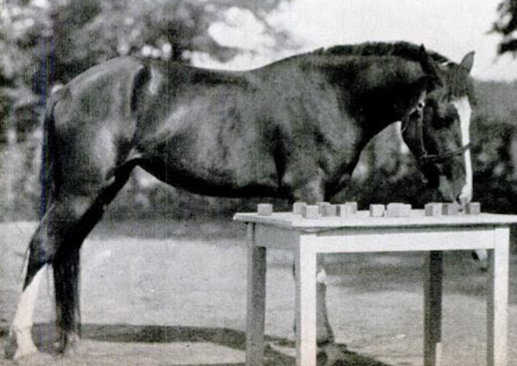 Horse stands next to table covered in blocks.