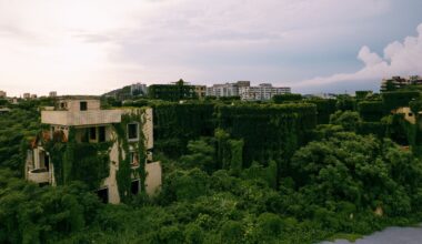 Nanhu Apartments in China overgrown after being abandoned