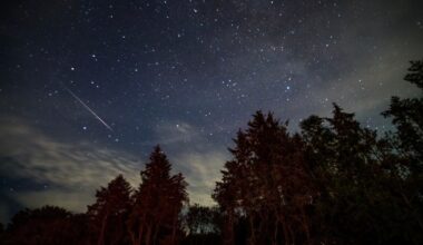 'It will last for quite a while': How to catch 100 shooting stars an hour during August's Perseid meteor shower