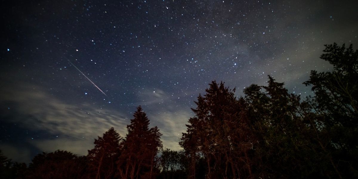 'It will last for quite a while': How to catch 100 shooting stars an hour during August's Perseid meteor shower
