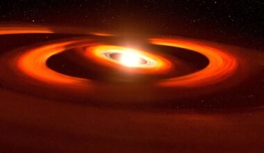 Astronomers Discover an Entirely New Type of Object: a “Black Hole Star”