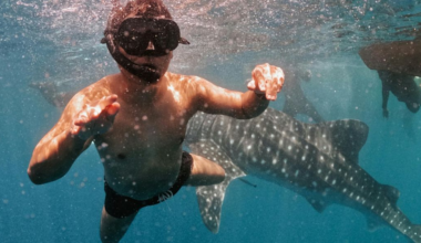 A shark clamped onto a 12-year-old 60 miles from help. His brother’s split-second move saved him.
