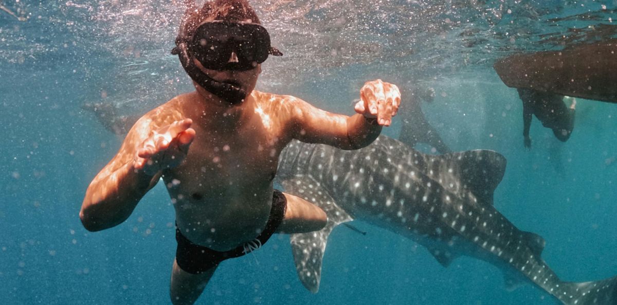 A shark clamped onto a 12-year-old 60 miles from help. His brother’s split-second move saved him.