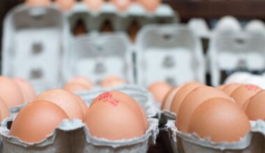 One dead and hundreds ill in UK salmonella outbreak 'linked to imported eggs'