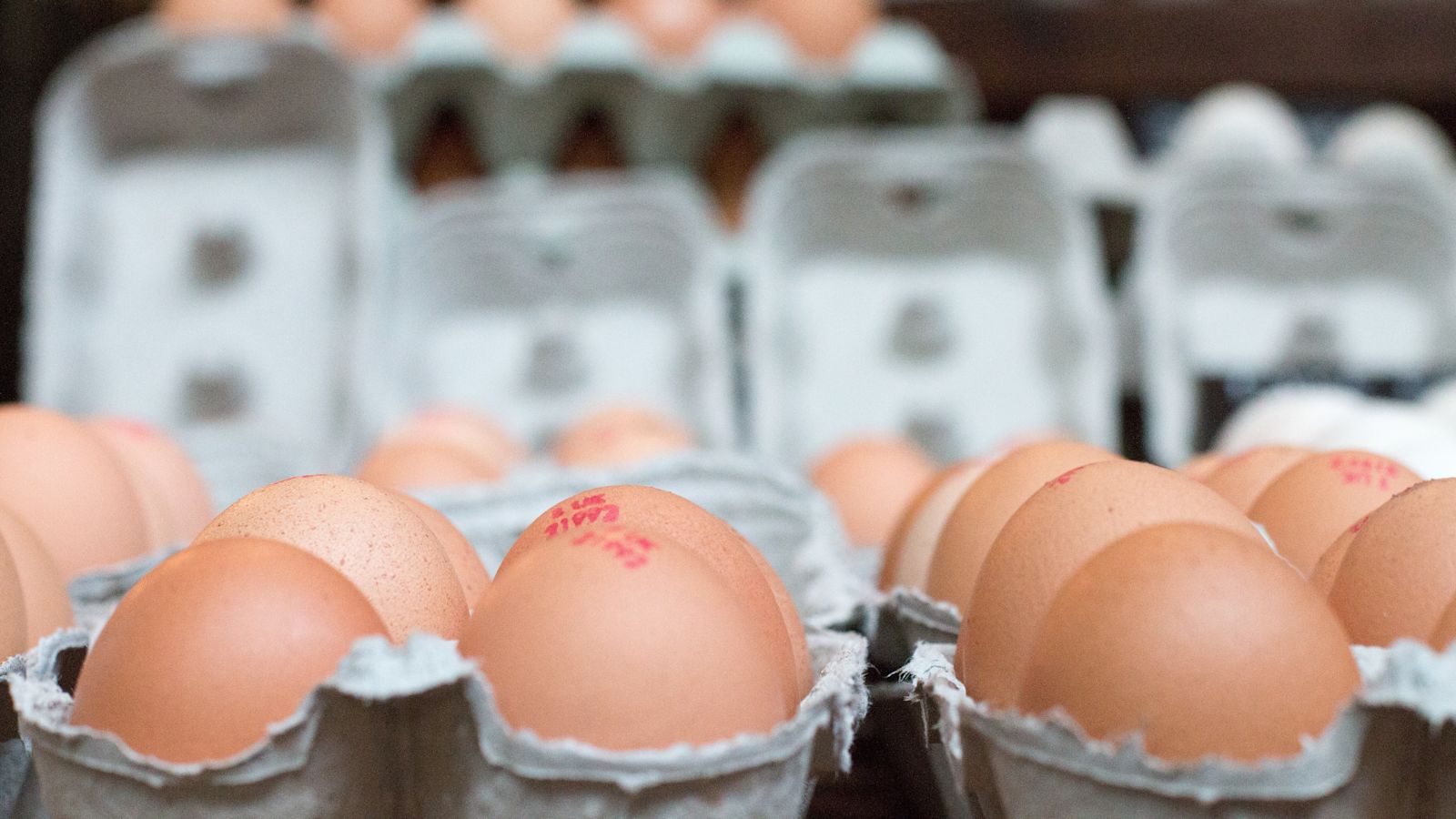 One dead and hundreds ill in UK salmonella outbreak 'linked to imported eggs'