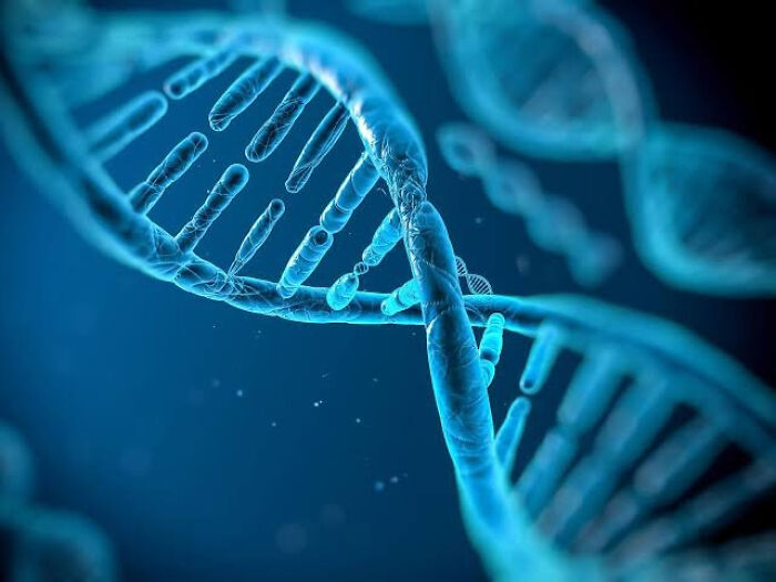 If You Like Learning Random Knowledge, Here Are 65 Interesting Facts For You