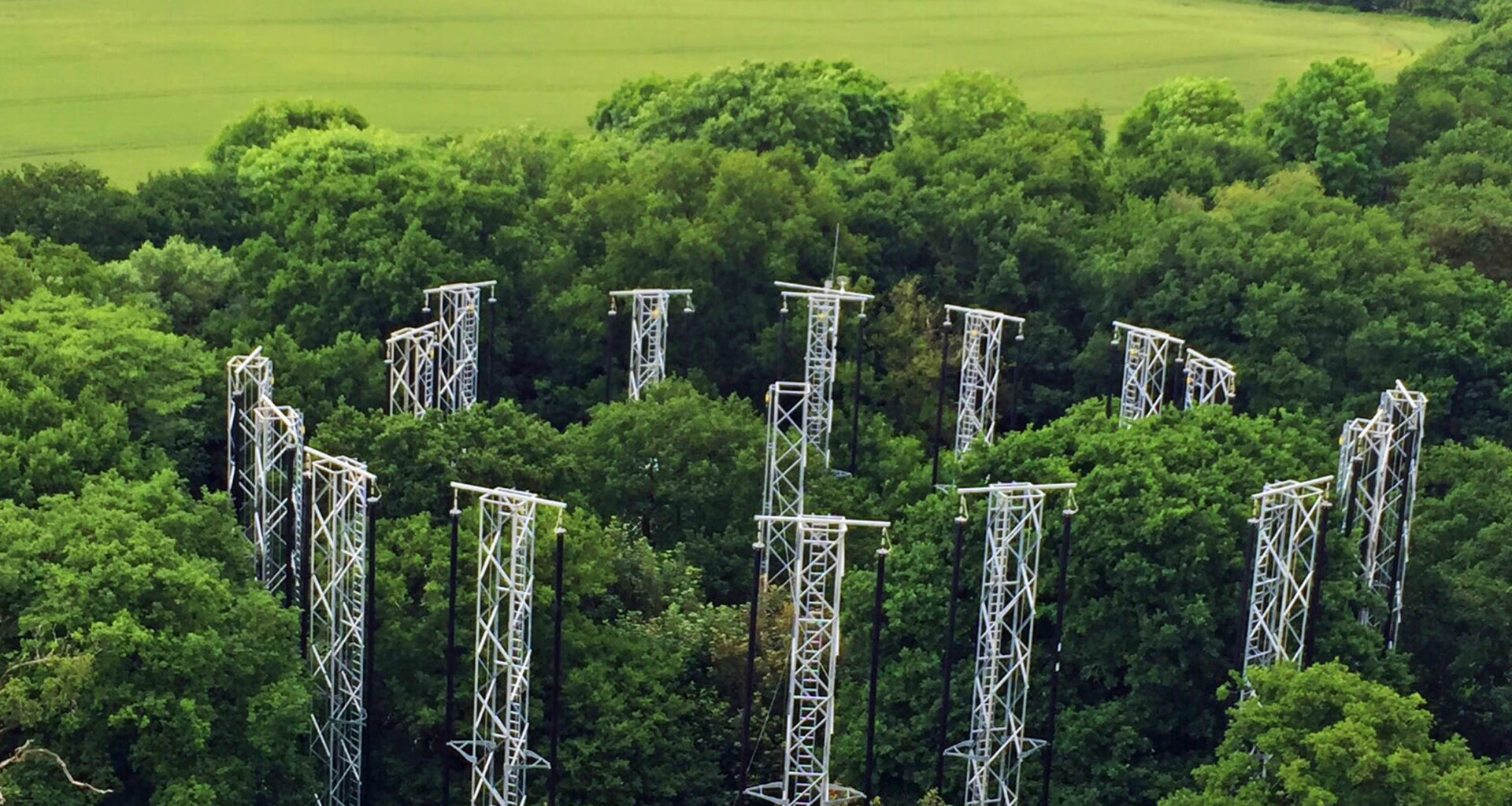 This giant forest experiment offers hope for carbon storage