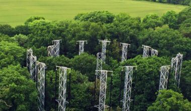 This giant forest experiment offers hope for carbon storage