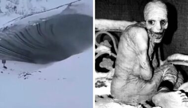68 Strange And Fascinating Things Found Around The World (New Pics)