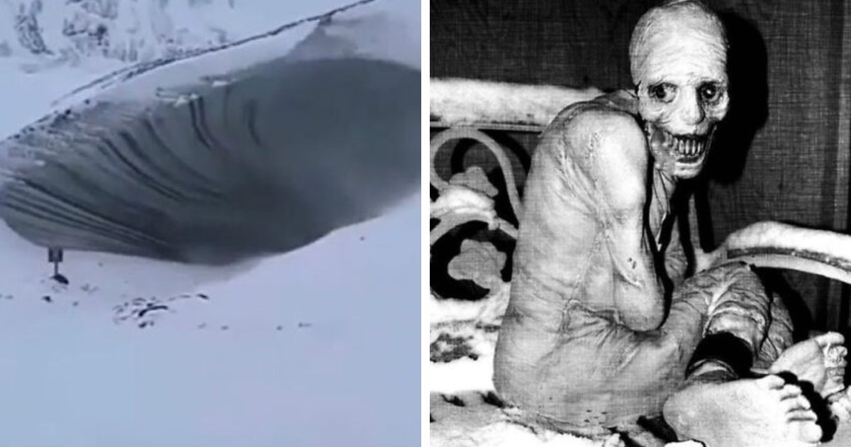 68 Strange And Fascinating Things Found Around The World (New Pics)