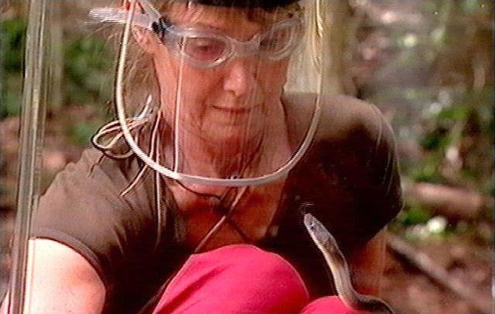 Jan Leeming on I'm A Celebrity in 2006