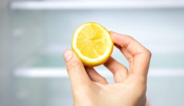 A Molecule Found in Citrus Fruits Could Be a Secret Weapon to Rejuvenate The Liver : ScienceAlert