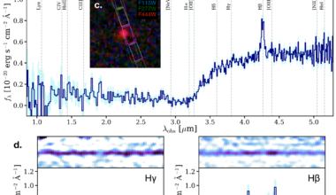 James Webb spotted a bizarre object just 660 million years after the Big Bang that looks like an enormous star but shines with roughly 100 billion Suns' worth of energy — because hidden inside its star-like cocoon is an accreting black hole, rather than a core powered by nuclear fusion.