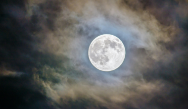 Earth's Moon is unusually large compared with the planet it orbits, and the leading explanation begins with catastrophe: another world roughly the size of Mars slammed into the young Earth and blasted material into orbit.