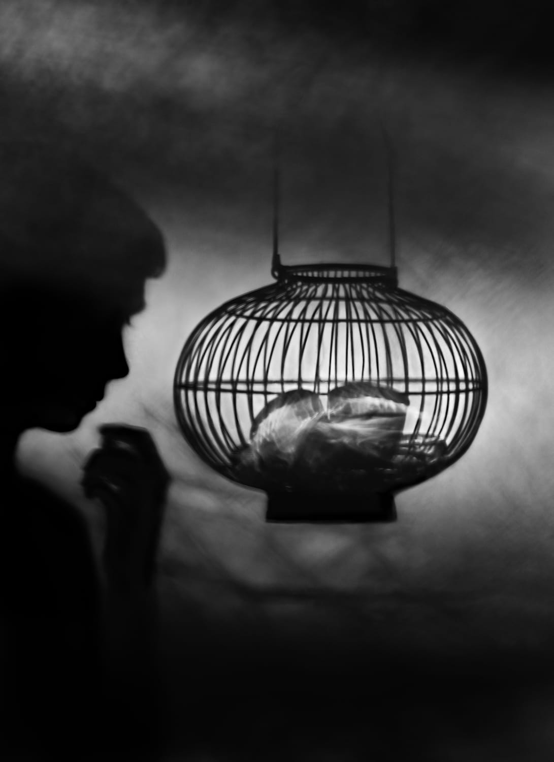 a black-and-white photograph by Susan kae Grant of a silhouetted dream-like scene with a young person looking at a cage-like basket filled with translucent objects