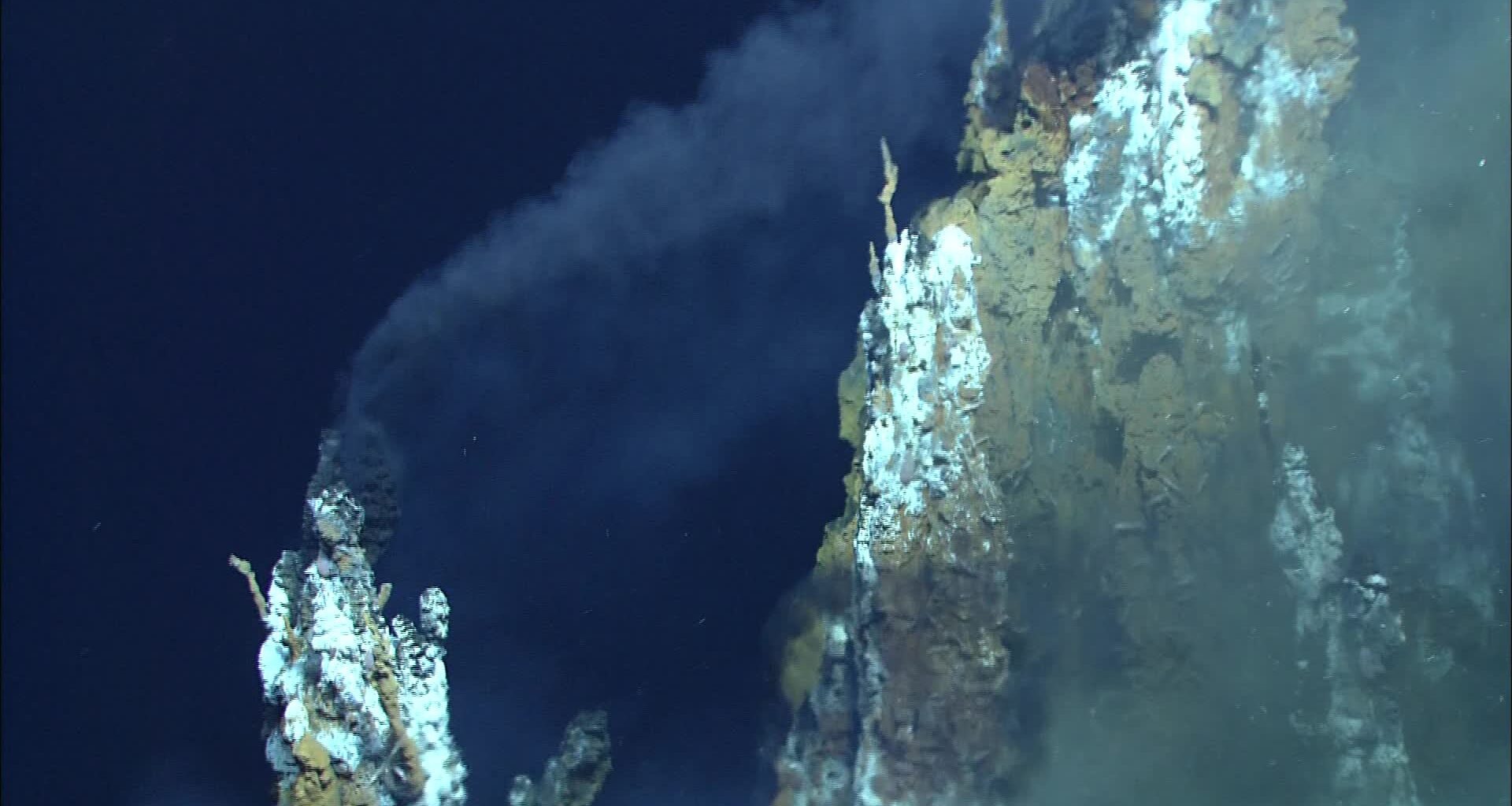 Life on Earth may have begun twice. A Science Advances study found that bacteria and archaea inherited one ancient genetic code but independently evolved the machinery needed to become free-living cells — leading the researchers to describe it as “one origin of the genetic code, but two origins of life.
