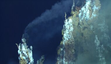 Life on Earth may have begun twice. A Science Advances study found that bacteria and archaea inherited one ancient genetic code but independently evolved the machinery needed to become free-living cells — leading the researchers to describe it as “one origin of the genetic code, but two origins of life.