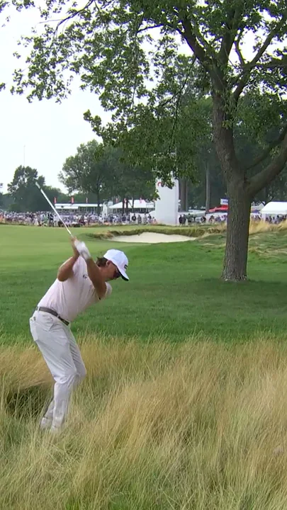 Stay OUT of the fescue 🛑 - youtube.com