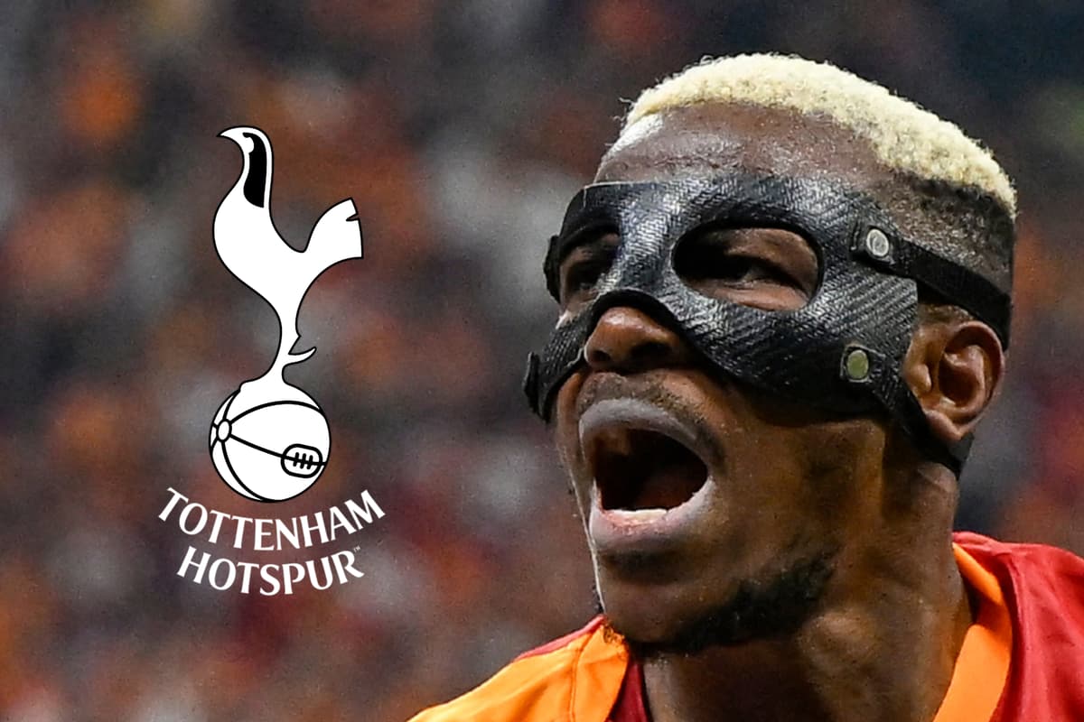 Victor Osimhen 'approves Tottenham move' amid first bid reports - London Evening Standard