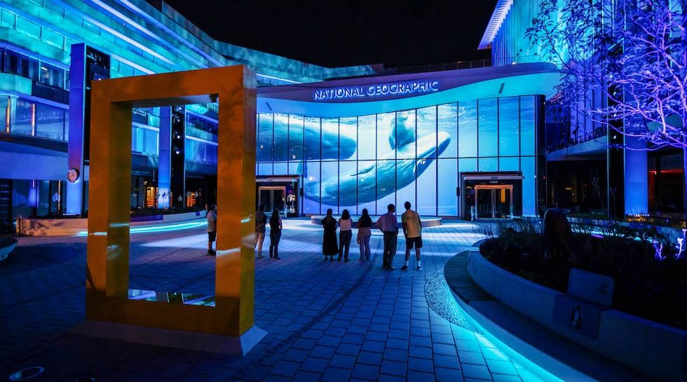 People view a whale projection on National Geographic Museum Of Exploration building with blue lights at night.