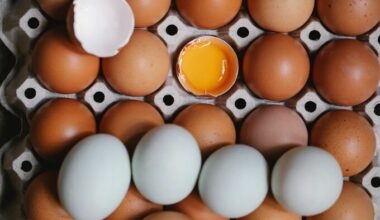 Are brown eggs healthier than white eggs?