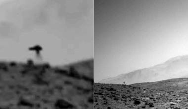 Bizarre 'jellyfish spotted on Mars' in resurfaced Nasa images | News Tech