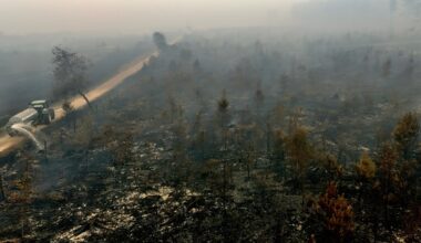 Belgium’s largest wildfire on record spreads towards German border | Climate News