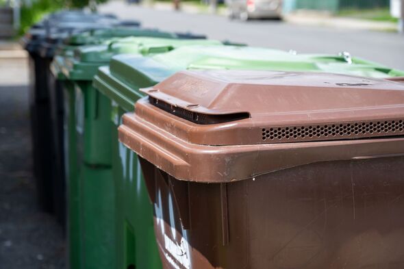 Row of garbage bins