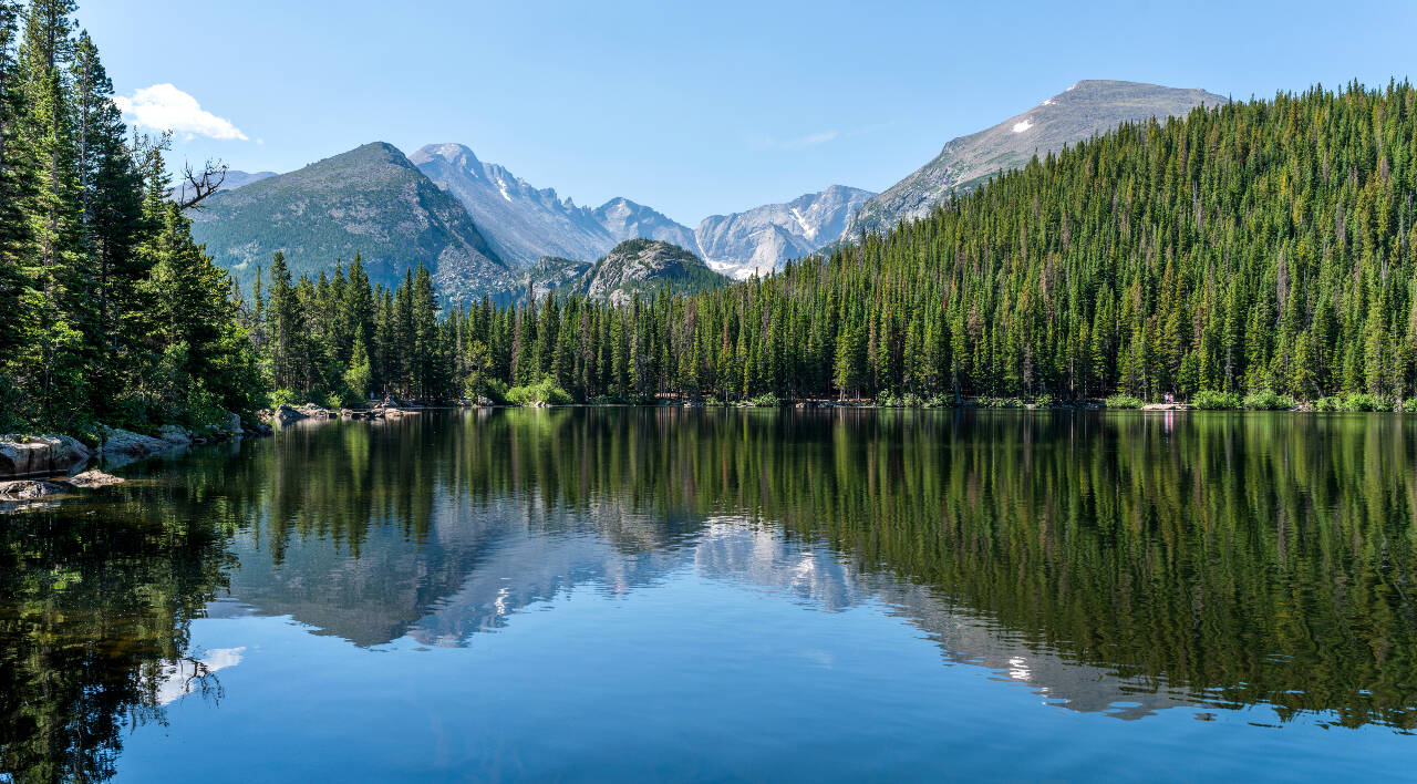 Scientists may examine the water samples to tell which species are present without having to catch or see the animals Scientists may examine the water samples to tell which species are present without having to catch or see the animals