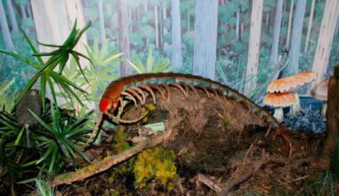10 Ancient Earth Events That Sound Like Sci-Fi Plot Devices