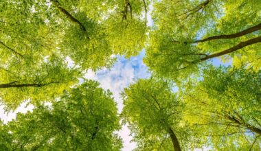Toward a Better Environment for Our Brains