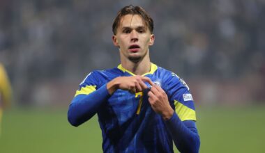 Newcastle have reached an agreement with Benfica to sign Dedic