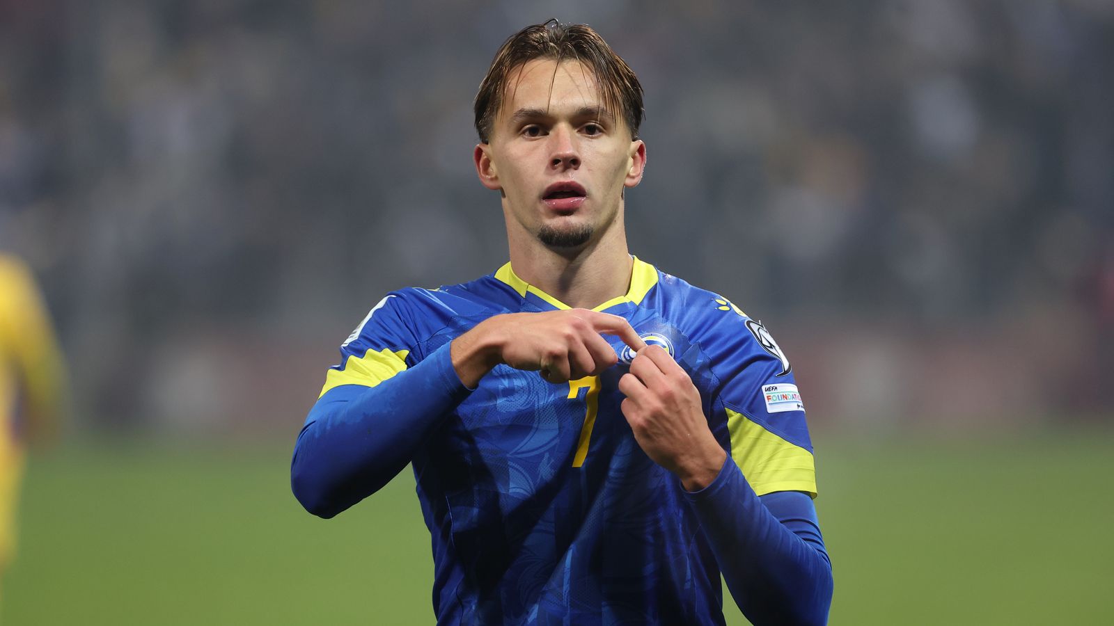 Newcastle have reached an agreement with Benfica to sign Dedic