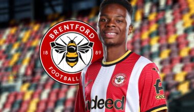 Brentford midfielder Mamadou Sangare could be the signing of the season - here's why
