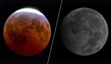Two full moons are shown side by side in a black sky divided by a white line. The left full moon is red as Earth's shadow falls upon it during an eclipse.