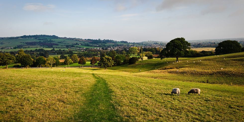 The Cotswold Way near Winchcombe, The Cotswolds